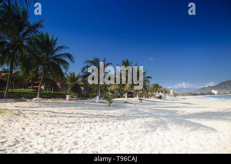 Beach with palms at TTC Resort, South China Sea, Ninh Thuan,Vietnam, Asia Stock Photo