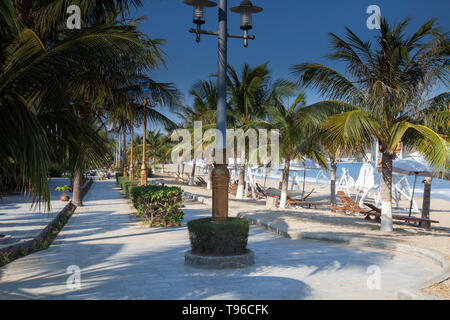 Beach promenade with palms at TTC Resort, South China Sea,Phan Rang, Ninh Thuan,Vietnam, Asia Stock Photo