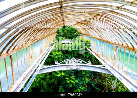 Interior of the Palm House with tops of exotic plants, Kew Gardens, London, UK