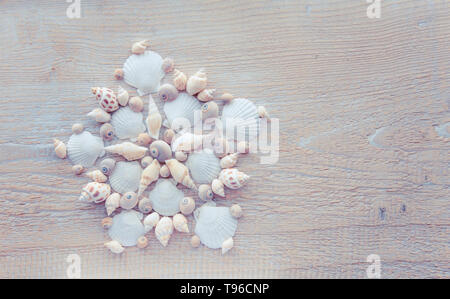 Beautiful shell mandala pattern made of real seashells. Traveling exotic places background concept. Stock Photo