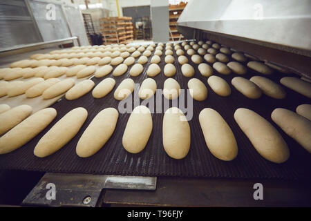 Automatic bakery production line with bread in bakery factory Stock Photo