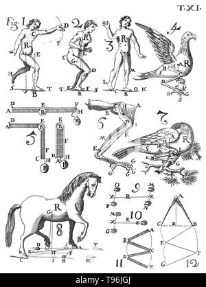 De motu animalium, 1734 edition. Table XI. Giovanni Alfonso Borelli (January 28, 1608 - December 31, 1679) was a Renaissance Italian physiologist, physicist, and mathematician. He contributed to the modern principle of scientific investigation by continuing Galileo's custom of testing hypotheses against observation. Trained in mathematics, Borelli also made extensive studies of Jupiter's moons, the mechanics of animal locomotion and, in microscopy, of the constituents of blood. Stock Photo