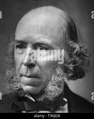 Herbert Spencer (April 27, 1820 - December 8, 1903) was an English philosopher, biologist, sociologist, and prominent classical liberal political theorist of the Victorian era. Spencer developed an all-embracing conception of evolution as the progressive development of the physical world, biological organisms, the human mind, and human culture and societies. Stock Photo