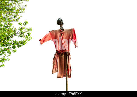 Home made scarecrow in the wind made from old rugged red clothes, with an ugly head, up on a wooden pole, with branches of a cherry tree. Isolated on 