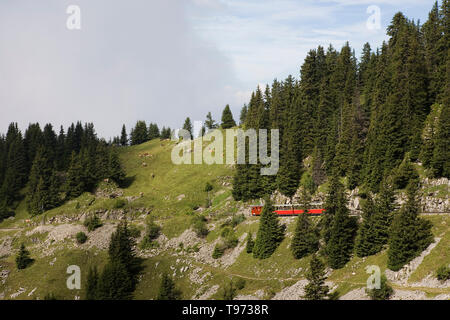 Narrow-gauge cog railway, the Schynige Platte Bahn: train being pushed up a steep gradient, near the Grätlitunnel, Bernese Oberland, Switzerland Stock Photo