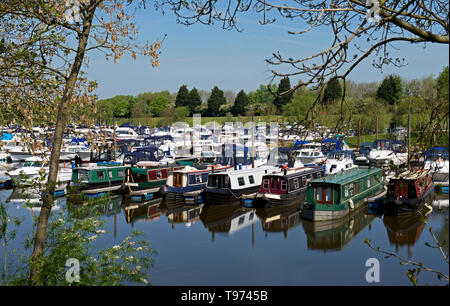 Boats moored in the York Marina, on the River Ouse at Naburn, North Yorkshire, England UK Stock Photo