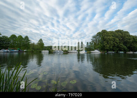 View of the River Thames with moored boats at Pangbourne in Berkshire, UK, during May Stock Photo