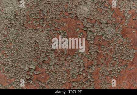 Rusty brown iron texture, green old fence with stains and peeling paint. Textured wallpaper for design. Stock Photo
