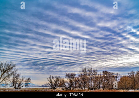 Defocused view of a dramatic blue sky filled with white puffy clouds Stock Photo
