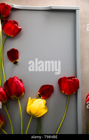 Red Tulips on table. Spring Easter flowers. Stock Photo