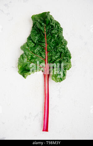 Swiss chard leaf on a rugged white background Stock Photo