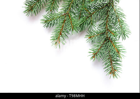 X-mas fir tree branch isolated on white background. Pine branch. Christmas background Stock Photo