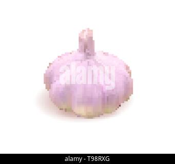 Photo realistic vector garlic on white background. Vector illustration. Stock Vector