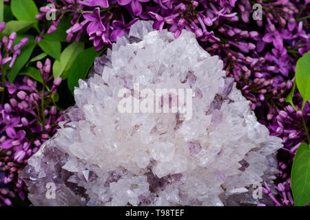 Needle Quartz With Amethyst Specimen surrounded by purple lilac flowers. Stock Photo