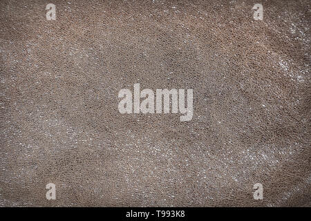 Texture light brown leather for the background Stock Photo