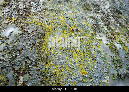 Old gray color painted rusty metal surface with yellow drops, background texture Stock Photo