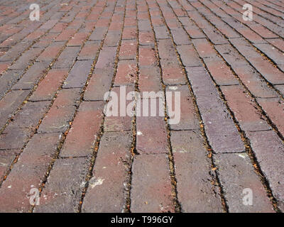 Pattern on a brick faced cobbled path near the University of Northampton, UK Stock Photo