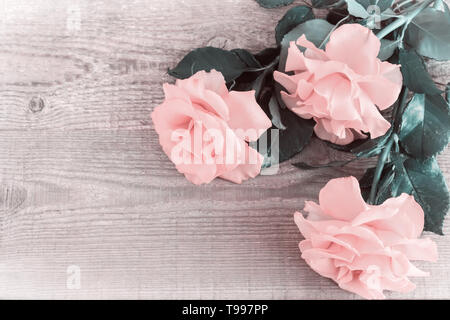 On a light wooden rustic background luxurious pink roses with delicate petals. Top view, copy space. Stock Photo