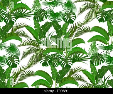 Green tropical leaves of banana, coconut, monstera and ogawa. Seamless illustration Stock Vector