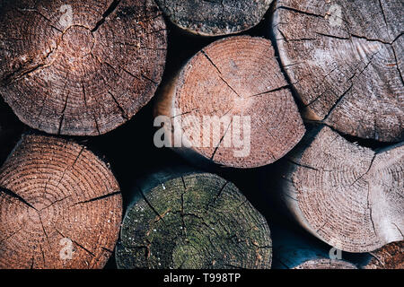 Colored logs. Old wooden texture background. Creat background with copy space Stock Photo