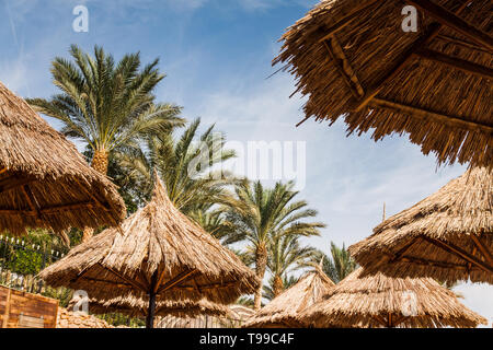 Straw beach umbrellas and palm trees against a bright blue sky. Stock Photo