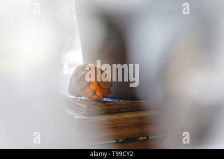 A large sea shell lies on a stack of old books on a light background in creative blur. Travel dream concept. Stock Photo