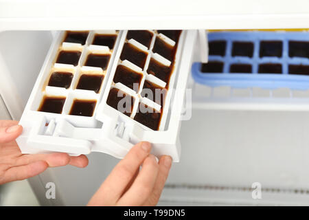 Woman putting tray with citrus fruits frozen in ice cubes into refrigerator  Stock Photo - Alamy