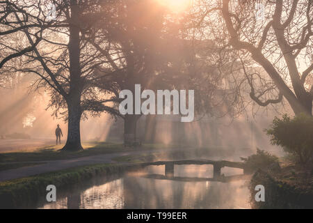 Lower Slaughter in the Cotswolds on a calm misty morning. Sun shines through trees onto River Windrush and person walking Stock Photo