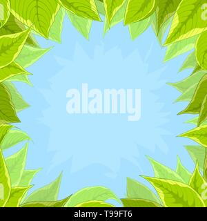 floral background, frame from flowers green leaves and blue sky Stock Vector