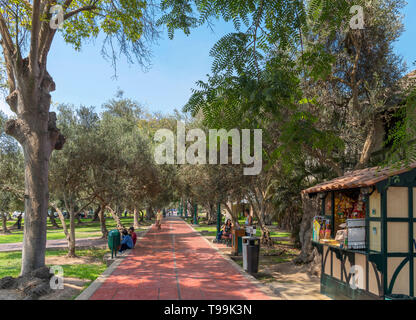 Parque El Olivar (Olive Tree Park), San Isidro neighbourhood, Lima, Peru, South America Stock Photo