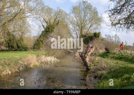 Footpath along The New Reach, Halesworth Millennium Green, Suffolk, England Stock Photo