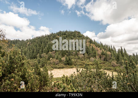 mountain scenery with small meadow, hill covered by mountain pine (pinus mugo) and blue sky with clouds - sedlo Prednych bellow Krakova hola hill in a Stock Photo