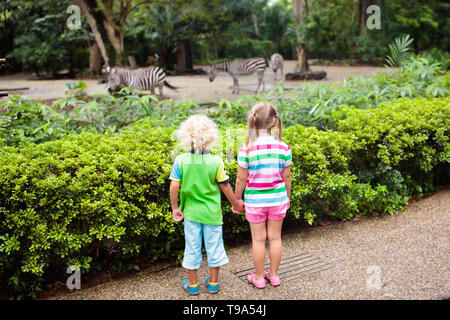 Family watching zebra in zoo. Boy and girl in tropical safari park during summer vacation in Singapore. Kids watch horse. Brother and sister learn abo Stock Photo