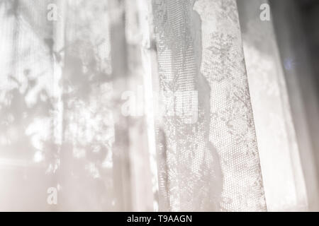 defocused curtain window sunlight through lattice curtain in morning of spring summer.Fresh.Holiday.Relax.concept idea for home background Stock Photo