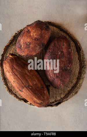 Raw Cocoa beans on a piece of oak Stock Photo
