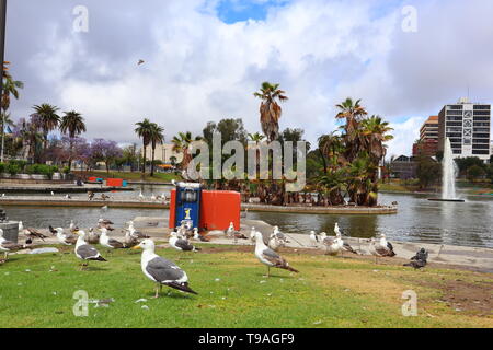 MacArthur Park located in the Westlake neighborhood of LOS ANGELES, California Stock Photo