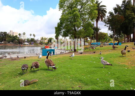 MacArthur Park located in the Westlake neighborhood of LOS ANGELES, California Stock Photo