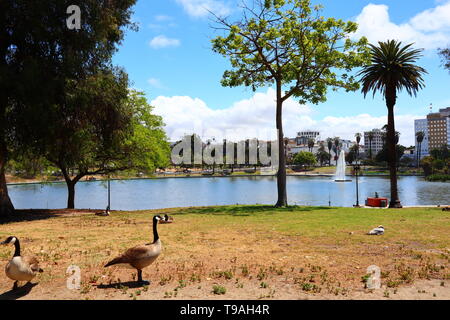 MacArthur Park located in the Westlake neighborhood of LOS ANGELES, California Stock Photo