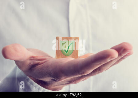 Hand Showing Green Check with Shield Mark on Small Wooden Cube. Stock Photo