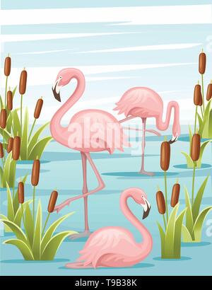 Group of pink flamingo standing in water. Lake with green reeds. Birds stay in lake. Flat vector illustration on blue sky with cloud background. Stock Vector