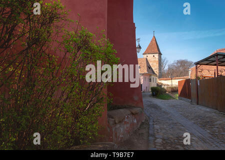 Morning view in Sighisoara with the Butcher's tower in sight, on a sunny day. Stock Photo