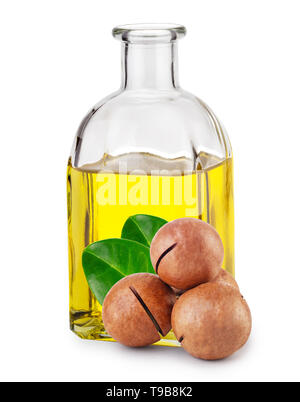 Macadamia oil in bottle and nuts with leaves Stock Photo
