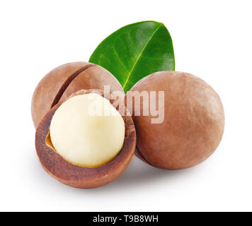 Whole and open australian macadamia nut with green leaf Stock Photo
