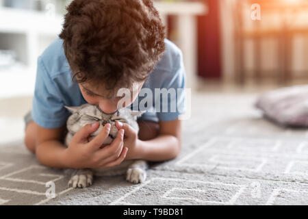 Cute European child plays with shorthair kitten Stock Photo