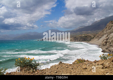 Coastline of South Crete, Yellow hornpoppy in the foreground Stock Photo