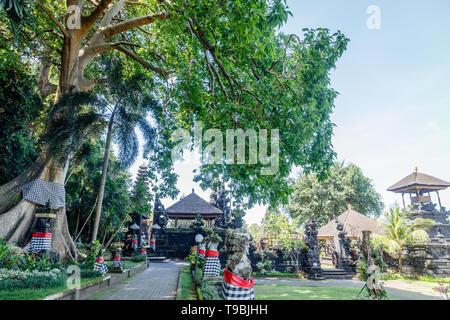 Big trees near Pura Goa Lawah ('Bat Cave Temple'), Balinese Hindu temple in Pesinggahan, Klungkung, Bali, Indonesia. Stock Photo