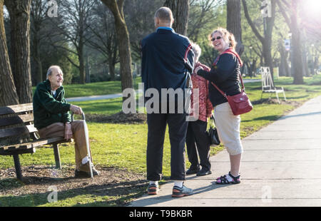 A groupe of people talk in the park. A senior gent interacts with the groupe, he is sitting on a bench. Stock Photo