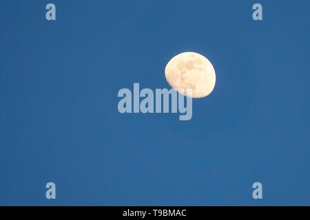 Waxing gibbous moon in a rich blue evening sky, viewed from Moriya, Ibaraki, Japan, on a spring night. Stock Photo