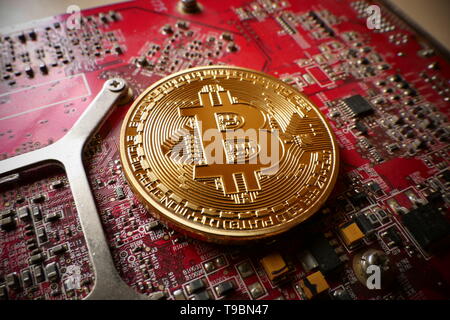 An golden Bitcoin, an virtual currency in physical coin form, displayed on an computer graphics card, symbolic illustration for the mining and compute Stock Photo