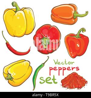 Vector illustration of peppers, chili peppers, cayenne and spice. Eps 10. Isolated. Set of peppers. Stock Vector